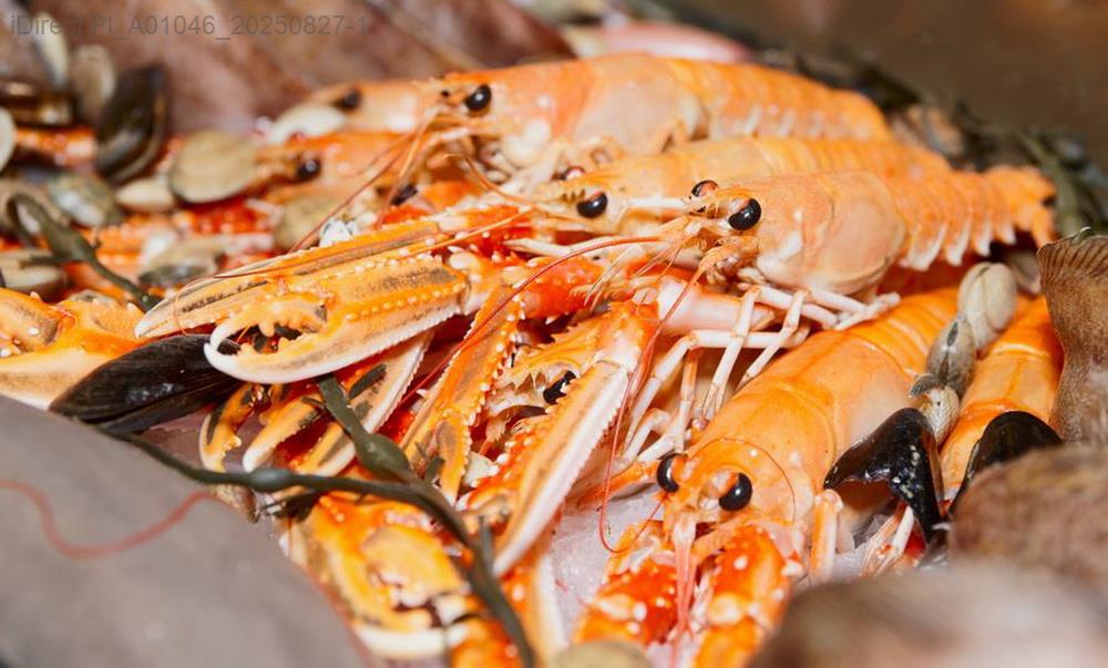 「台北市義大利餐廳精選：頂級美味推薦，必吃經典！你不能錯過的5家」示意圖